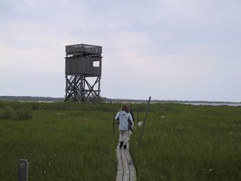[Bird observation tower]