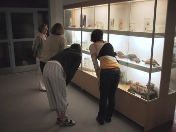[zoological museum exhibition]