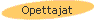 Opettajat