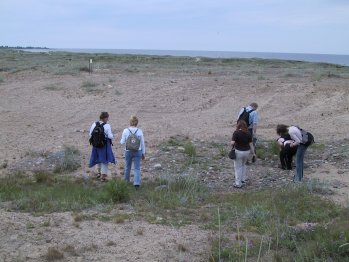 [Looking for rocks]