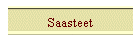 Saasteet